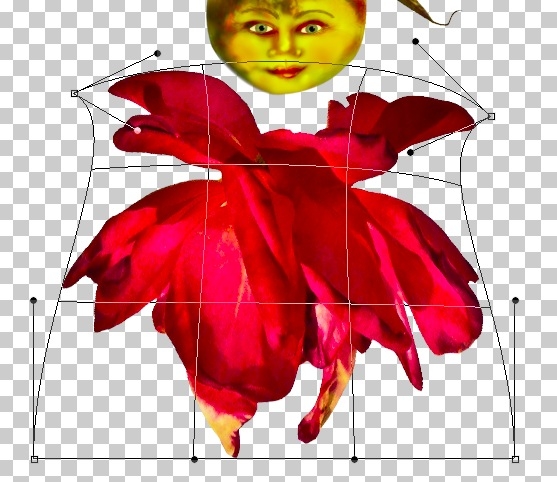 Creation of RoseFairies: Step 4